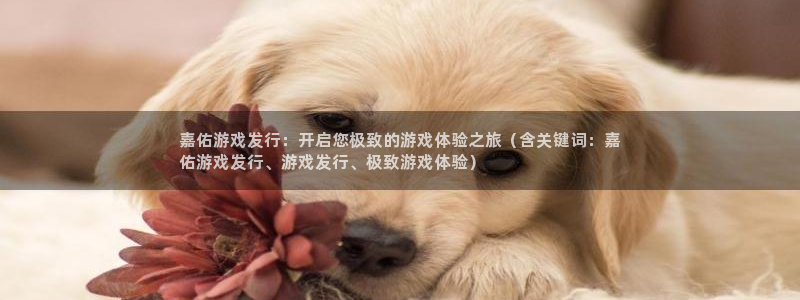 顺盈娱乐登录平台下载官网手机版：嘉佑游戏发行：开启您极致的游戏体验之旅（含关键词：嘉
佑游戏发行、游戏发行、极致游戏体验）