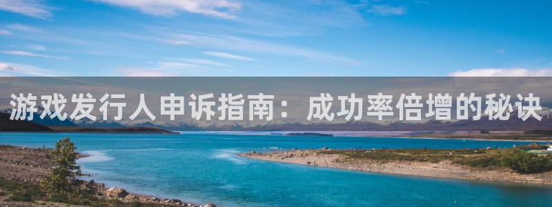 顺盈网络科技有限公司招聘：游戏发行人申诉指南：成功率倍增的秘诀