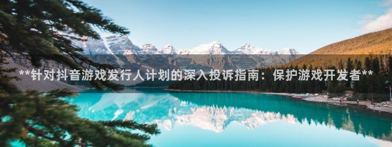 顺盈平台注册流程图：**针对抖音游戏发行人计划的深入投诉指南：保护游戏开发者**