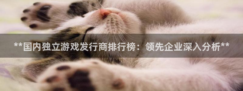 顺盈网络科技有限公司招聘：**国内独立游戏发行商排行榜：领先企业深入分析**