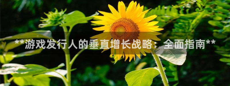 顺盈平台注册资金多少合适：**游戏发行人的垂直增长战略：全面指南**
