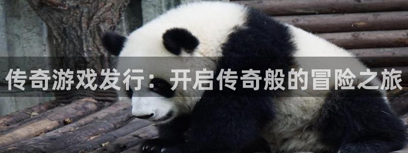 顺盈娱乐供7O777：传奇游戏发行：开启传奇般的冒险之旅