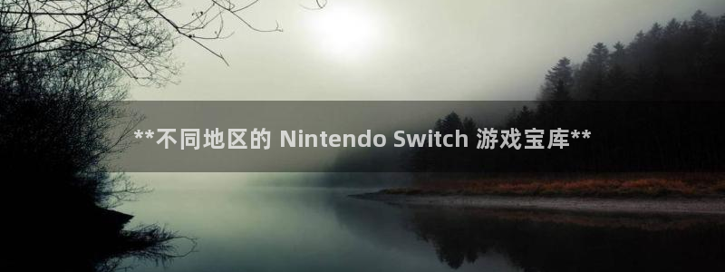 顺盈平台注册网址是什么：**不同地区的 Nintendo Switch 游戏宝库**
