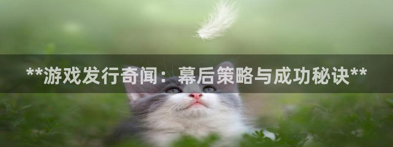 顺盈平台登陆：**游戏发行奇闻：幕后策略与成功秘诀**