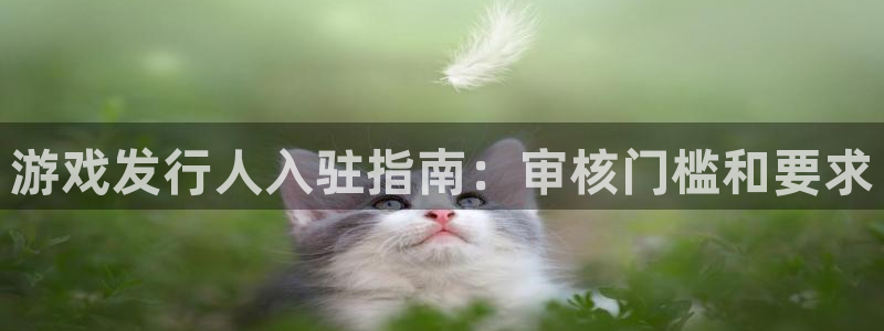 顺盈平台挂机：游戏发行人入驻指南：审核门槛和要求