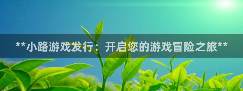 顺盈娱乐登录平台是什么软件啊：**小路游戏发行：开启您的游戏冒险之旅**