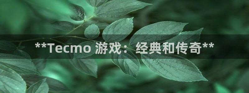 顺盈娱乐主管十7O777：**Tecmo 游戏：经典和传奇**