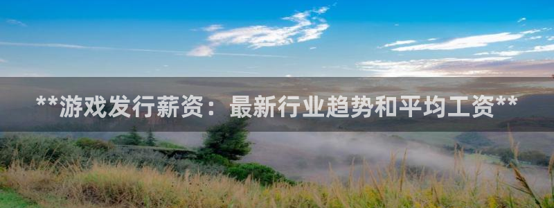 顺盈网络科技有限公司招聘：**游戏发行薪资：最新行业趋势和平均工资**