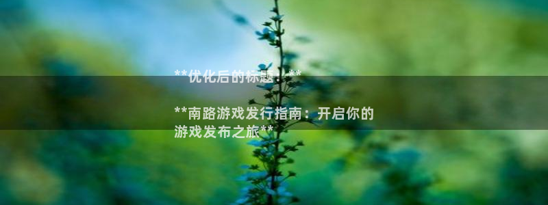 顺赢商贸有限公司：**优化后的标题：**

**南路游戏发行指南：开启你的
游戏发布之旅**