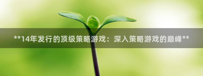 顺盈娱乐公司介绍图片