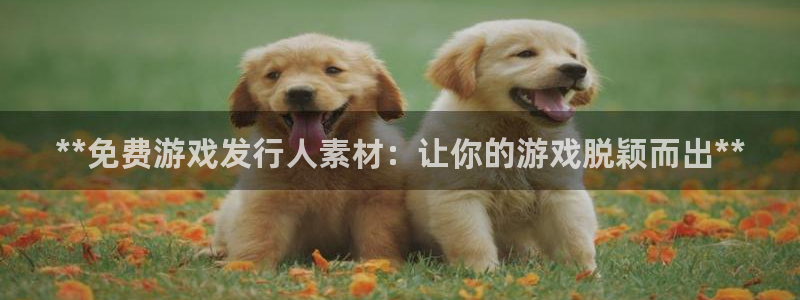 顺盈娱乐够7O777：**免费游戏发行人素材：让你的游戏脱颖而出**