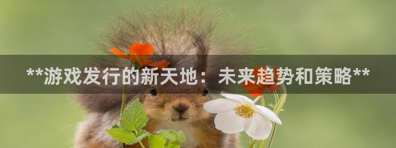 顺盈娱乐领导联系方式