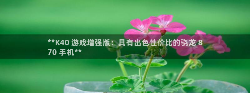 顺盈娱乐公司介绍怎么写：**K40 游戏增强版：具有出色性价比的骁龙 8
70 手机**