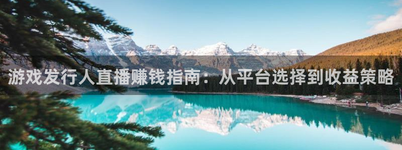 顺盈娱乐平台注册流程图片高清：游戏发行人直播赚钱指南：从平台选择到收益策略