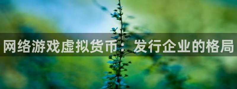 顺盈娱乐平台提现被关闭怎么回事儿呀：网络游戏虚拟货币：发行企业的格局