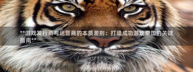 顺盈娱乐平台注册流程视频：**游戏发行商与运营商的本质差别：打造成功游戏帝国的关键
指南**