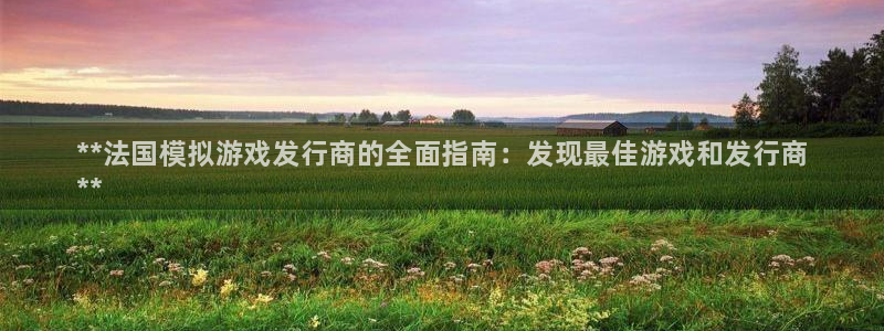 顺盈娱乐登录平台是什么软件呀：**法国模拟游戏发行商的全面指南：发现最佳游戏和发行商
**
