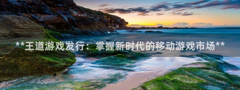 顺盈娱乐官网首页入口网站