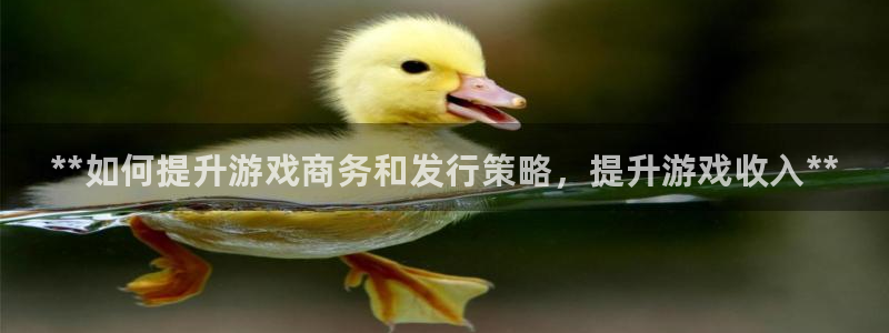 顺赢大师app