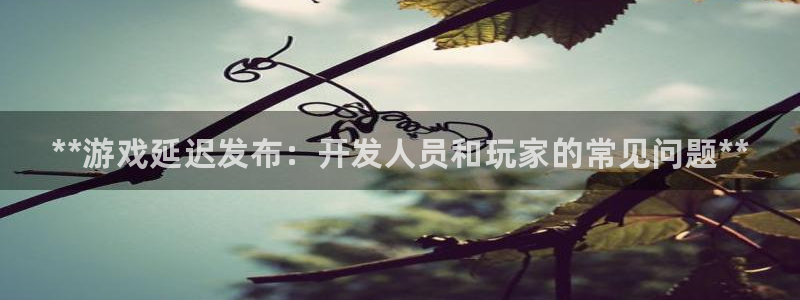顺盈平台注册资金多少：**游戏延迟发布：开发人员和玩家的常见问题**