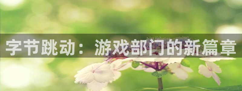 顺盈平台注册网址