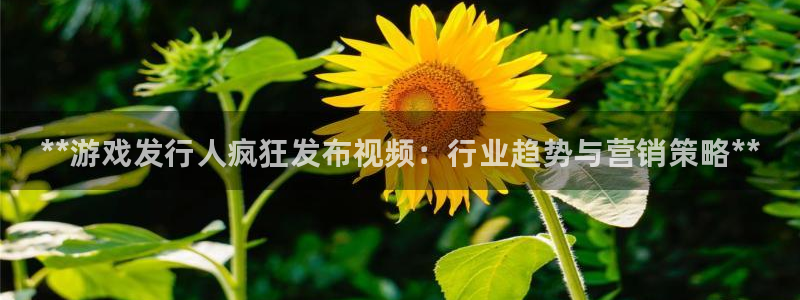 顺盈娱乐公司介绍图片大全：**游戏发行人疯狂发布视频：行业趋势与营销策略**