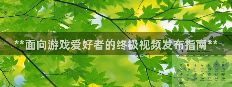 顺盈娱乐登录平台下载安装苹果：**面向游戏爱好者的终极视频发布指南**