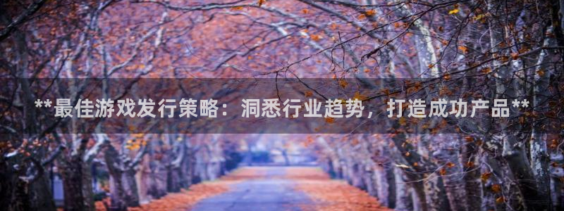 顺盈娱乐扣款成功了吗现在：**最佳游戏发行策略：洞悉行业趋势，打造成功产品**