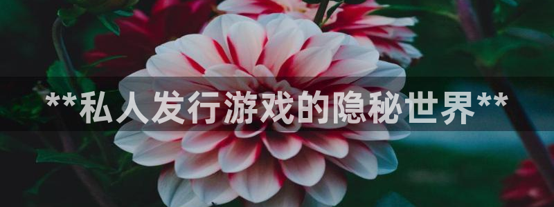 顺盈娱乐公司介绍怎么写文案