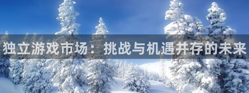 顺盈平台注册地址在哪里