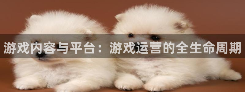 顺盈培训怎么样