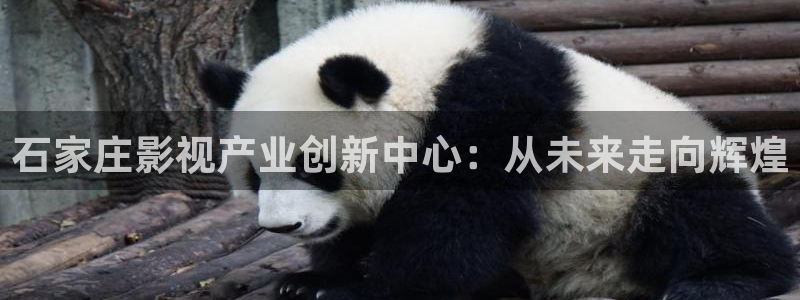 神马影院我不卡电影院