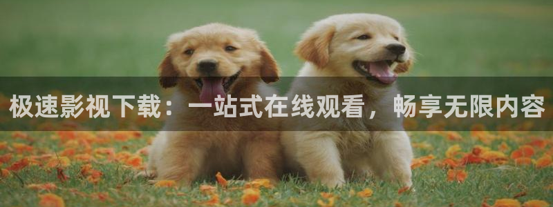 神马午夜我不卡电影