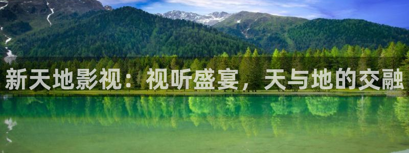 我不卡电影网站
