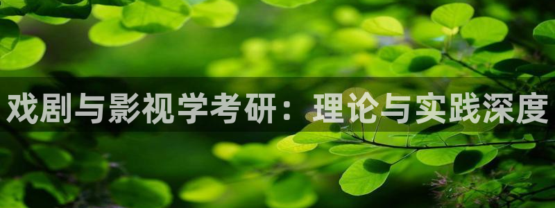 神马影院我不卡电影手机版