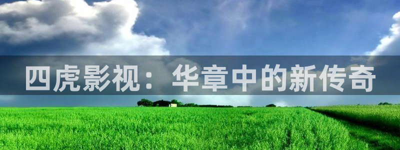 我不卡电影神马