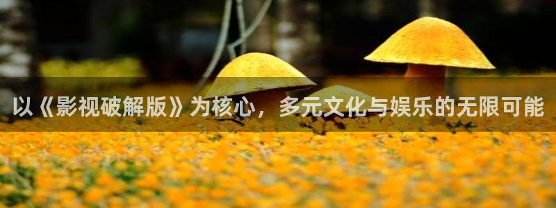 神马手机我不卡电影