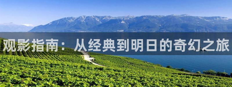 神马电影我不卡电影院