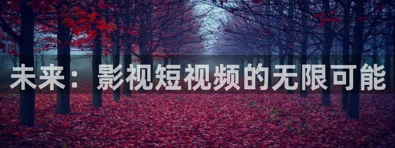 我不卡电影高清完整在线观看