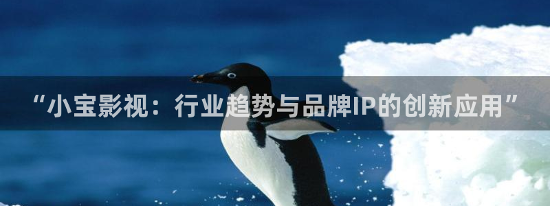 神马伦理我不卡电影
