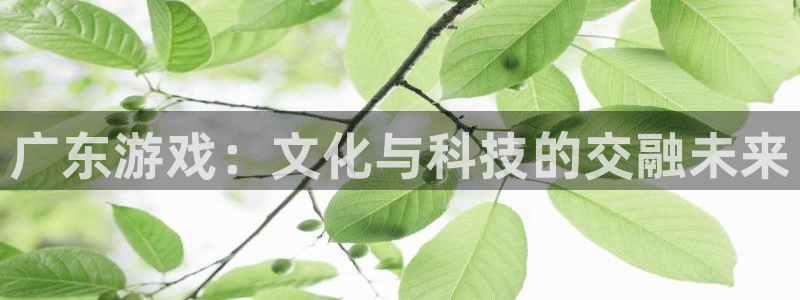 顺盈娱乐平台提现被关闭怎么回事啊安全吗