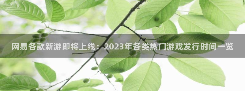 顺盈娱乐：网易各款新游即将上线：2023年各类热门游戏发行时间一览